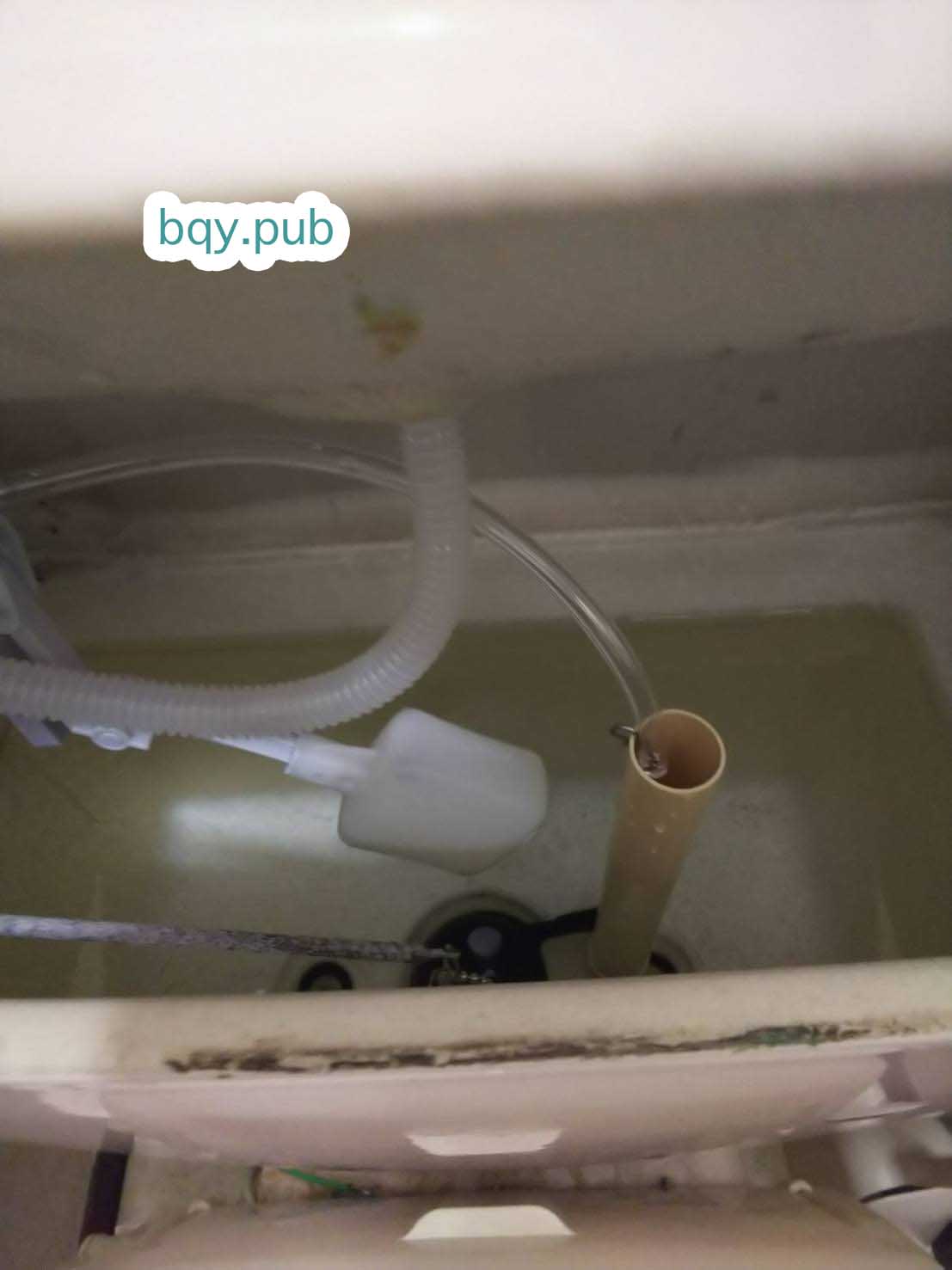 堺市西区のトイレつまり