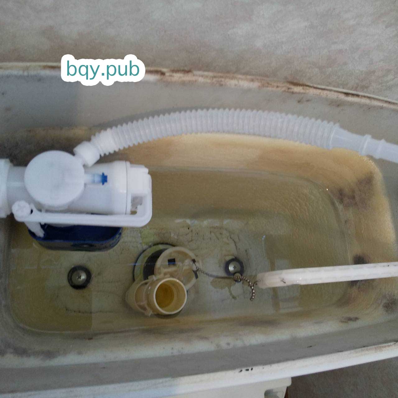 堺市西区のトイレつまり