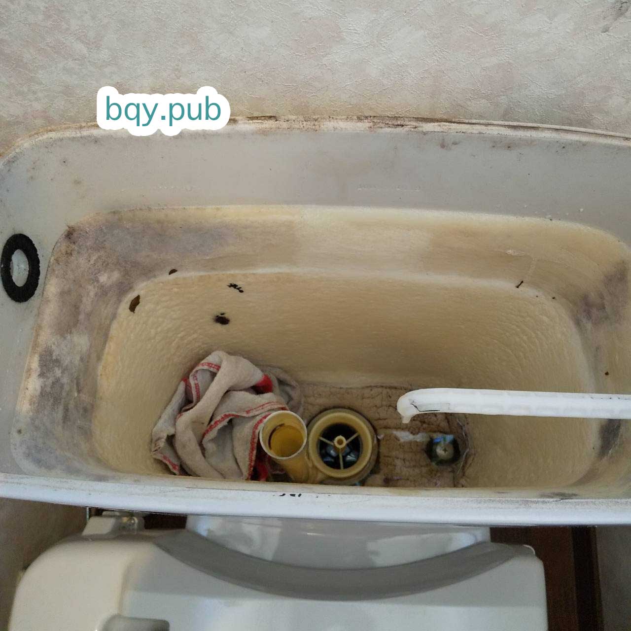 堺市西区のトイレつまり