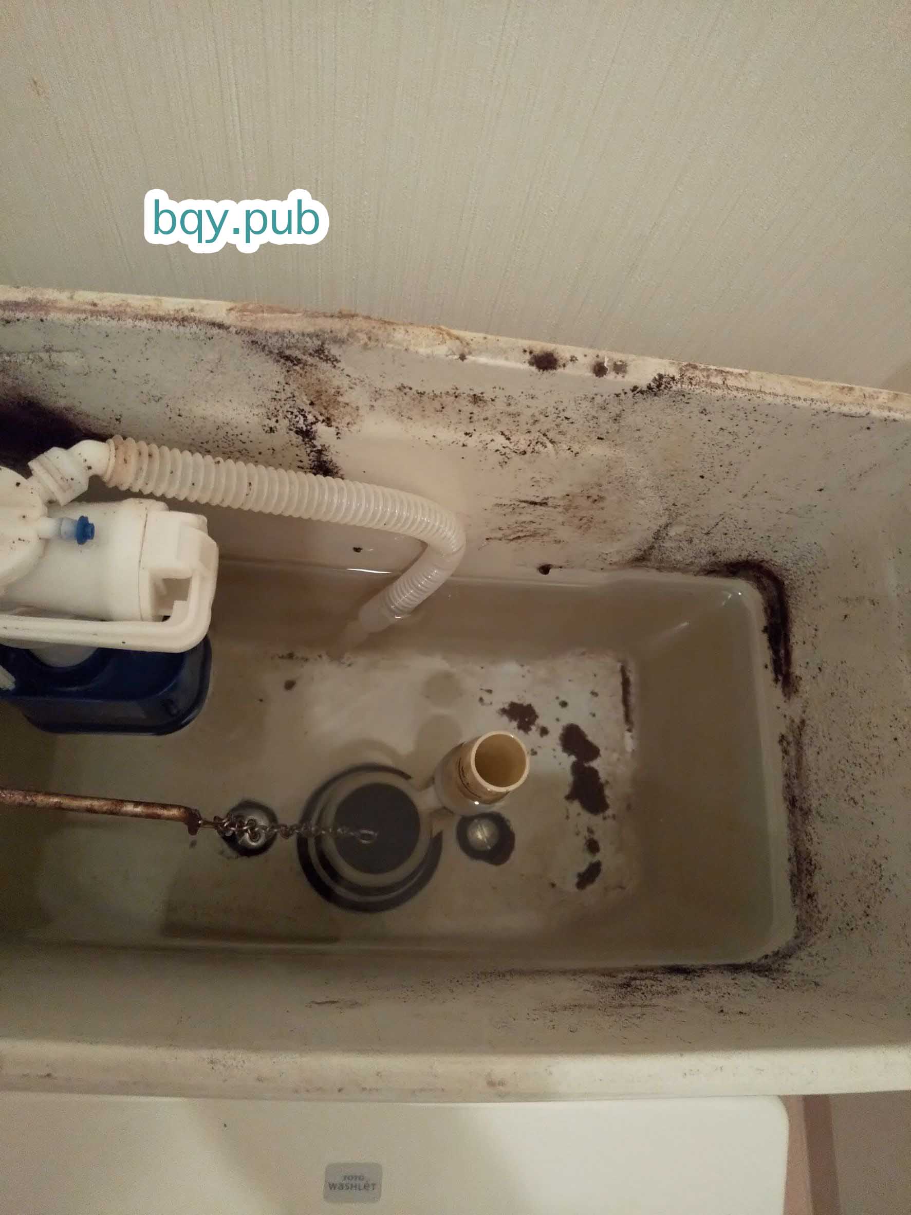 堺市西区のトイレつまり