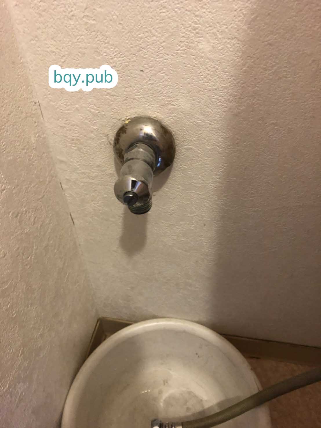 堺市西区のトイレつまり