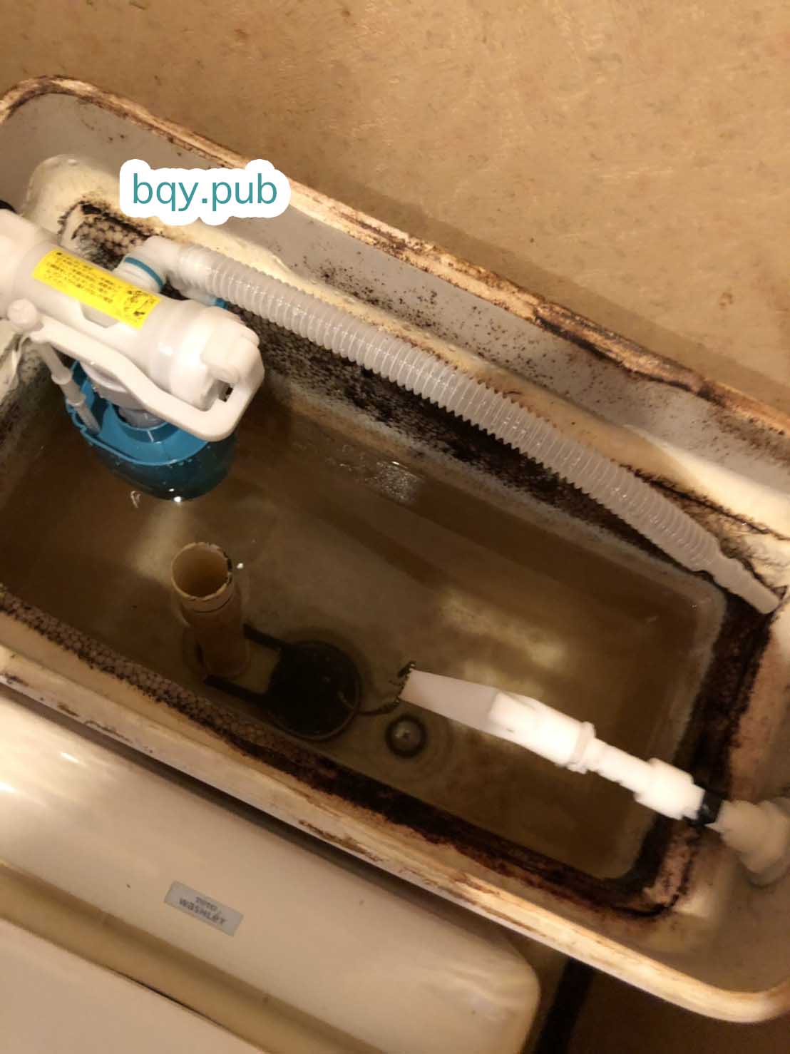 堺市西区のトイレつまり